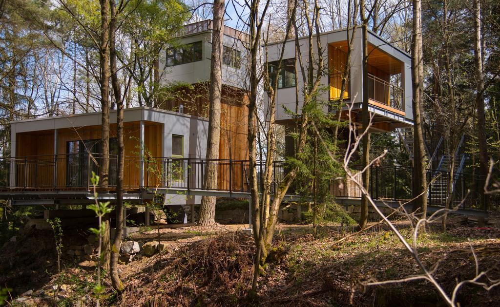 Baumhaus Lodge Schrems Schrems  المظهر الخارجي الصورة